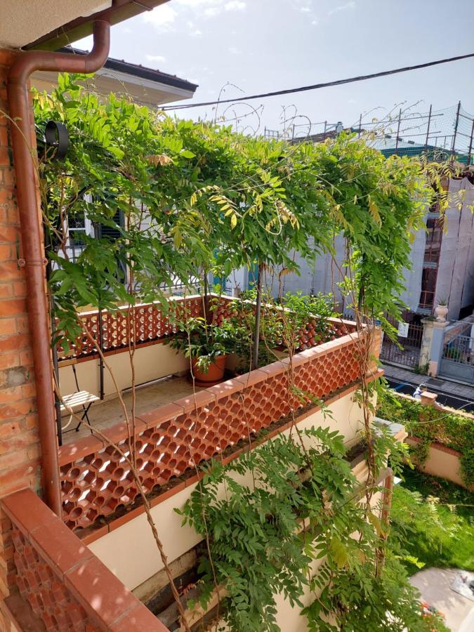 Pura Vida Bed and Breakfast Viareggio Exteriör bild